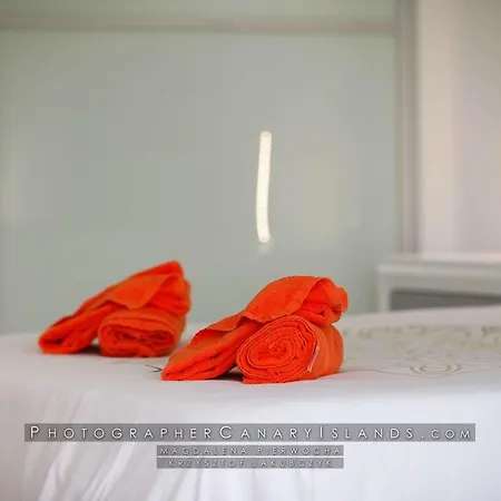 L'elegante Palm-mar